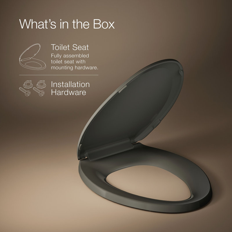 Lustra with Quick-Release Hinges Toilet Seat, Thunder Gray, Elongated