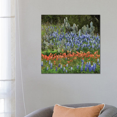 Bluebonnet, Paintbrush Cactus, Texas And Pricky Pear - Horizontal by Tim Fitzharris - Wrapped Canvas Print