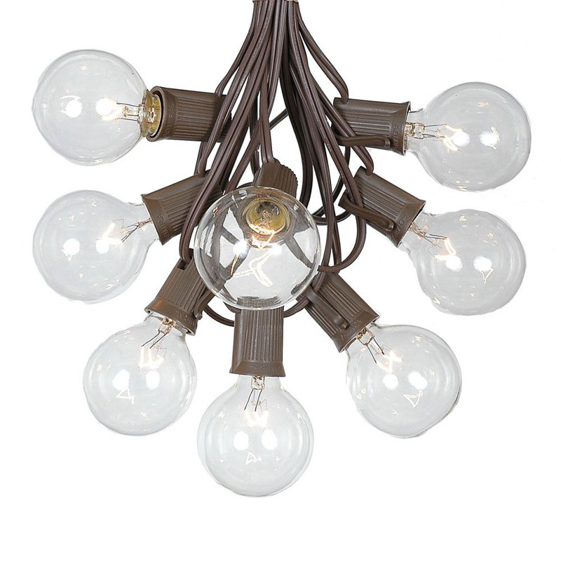 Outdoor 100 - Bulb 100'' Plug-in Globe String Light, Clear, Black