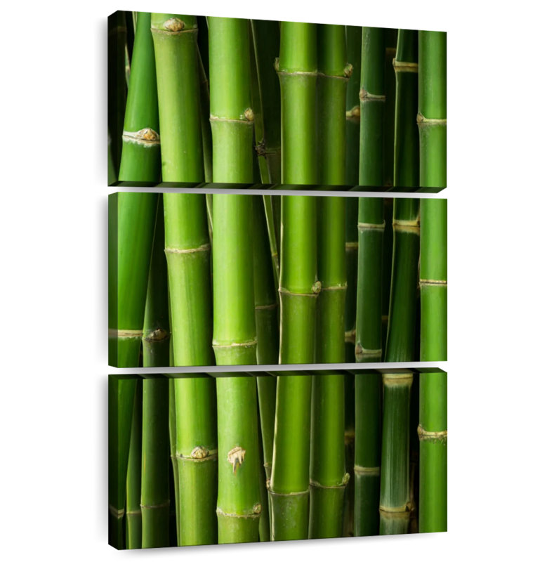 Harnek Bamboo Trunks, 65" H x 42" W