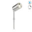 Youenn Brushed Stainless Steel Steel Spotlight