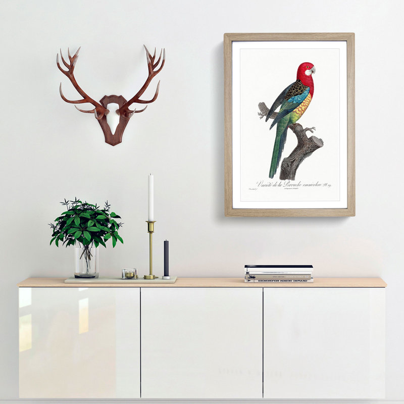 A Eastern Rosella Parrot by F. Levaillant - Framed Print, 45cm H x 33cm W x 2cm D, Oak Framed