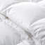 Édredon en duvet d'oie 800-1816770815