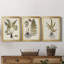 Fern Botanical IV - Ensemble de 3 peintures sur toile encadrées-131489272-131489273