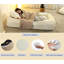 Lit pour chien humain-2030345967