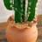 28in. Artificial Cactus in Terracotta Planter