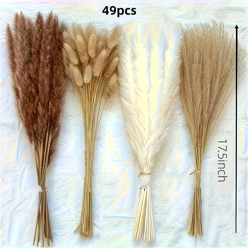 Décoration d'herbe de pampa séchée, 80 tiges d'herbe de pampa contient des fleurs séchées de queues de lapin, bouquet d'herbe de roseau pour mariage, décoration de table bohème, fête de ferme rustique
