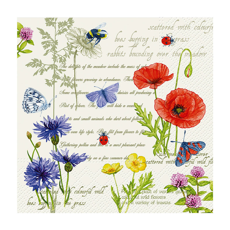 Serviettes jetables en papier