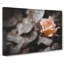 Pink Rose Flower Vol.5 - Wrapped Canvas-61838529