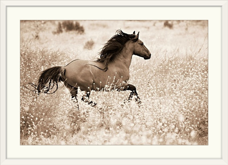 «Kemani Courir libre» Lisa Dearing, reproduction de photo, Cadre blanc, H 20 po x l 26 po x P 1 po