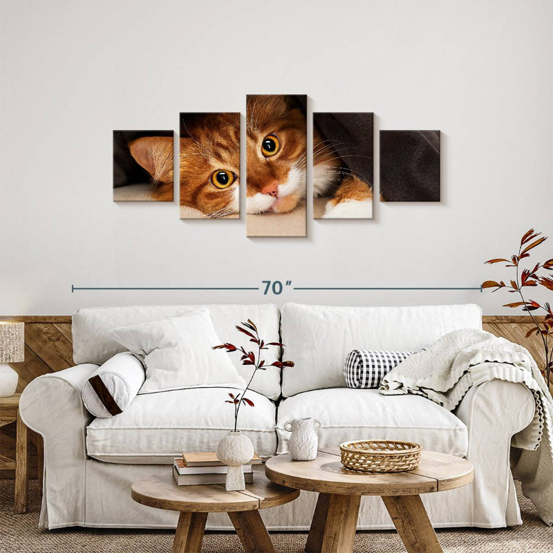 Chat douillet, H 24 po x l 55 po
