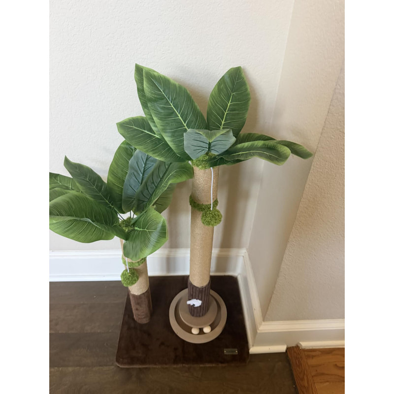 Grattoir Palm Tree Cat