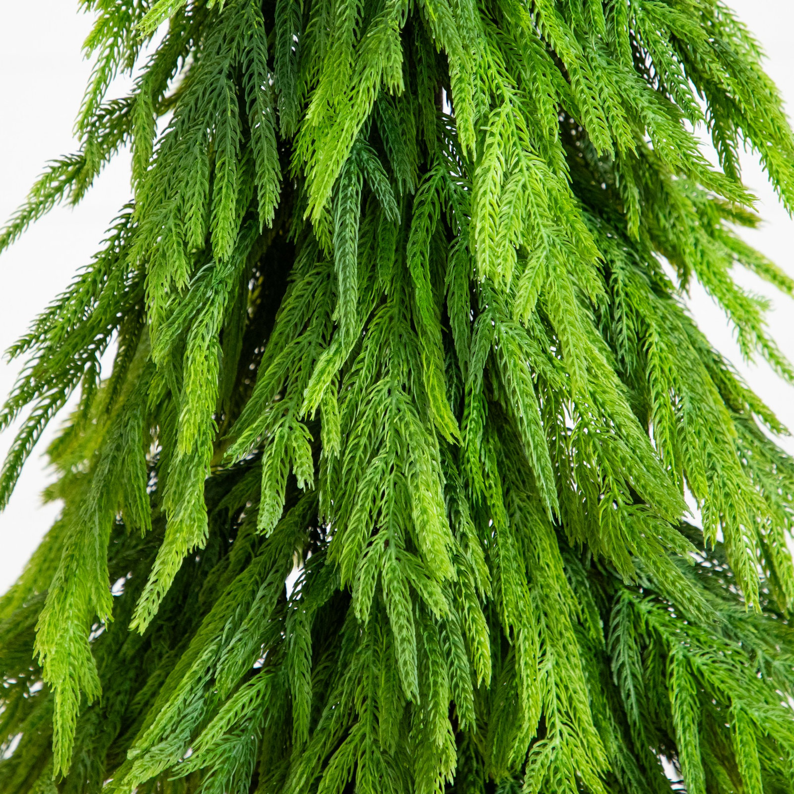 5' Pine Tree, 4" H x 16" W x 6.5" D