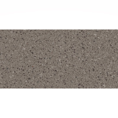 Birthplace 12" x 24" Porcelain Terrazzo Look Wall & Floor Tile