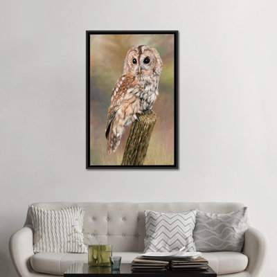 " Tawny Owl " by David Stribbling