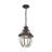 Alexavier Outdoor Hanging Lantern-809966412