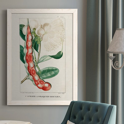 Turpin Tropical Botanicals VIII " Turpin Tropical Botanicals VIII "