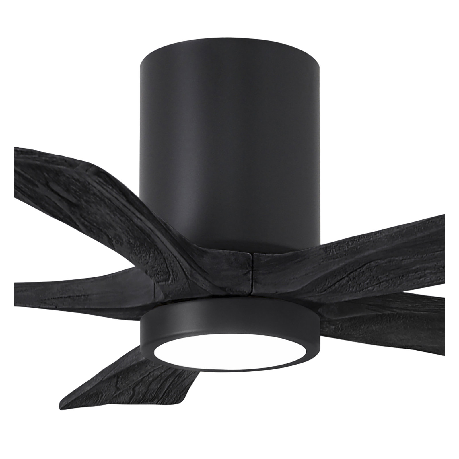 Irene 5 - Blade LED Ceiling Fan with Light Kit Included, Matte Black, Matte Black, 42"