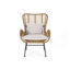 Chaise de patio en osier avec coussins Tapscott (ensemble de 2)-145943666