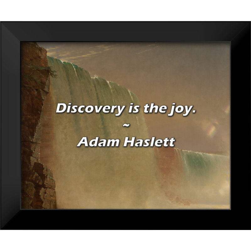 Adam Haslett Quote: Discovery is the joy.