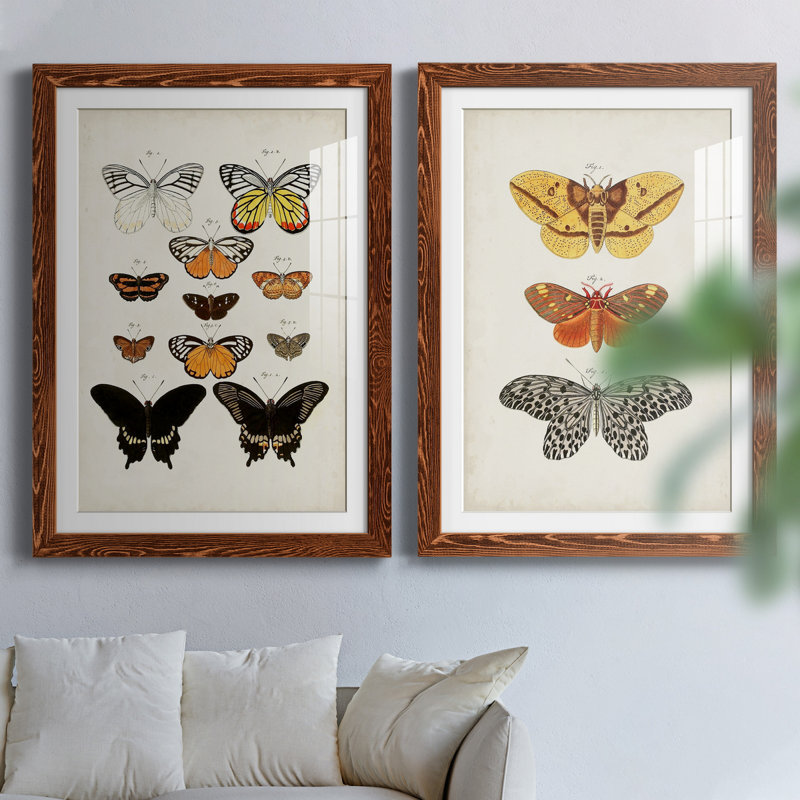 «Vintage Butterflies III», ensemble de 2 impressions encadrées, Papier avec cadre érable, H 43,5 po x l 31,5 po x P 1 po
