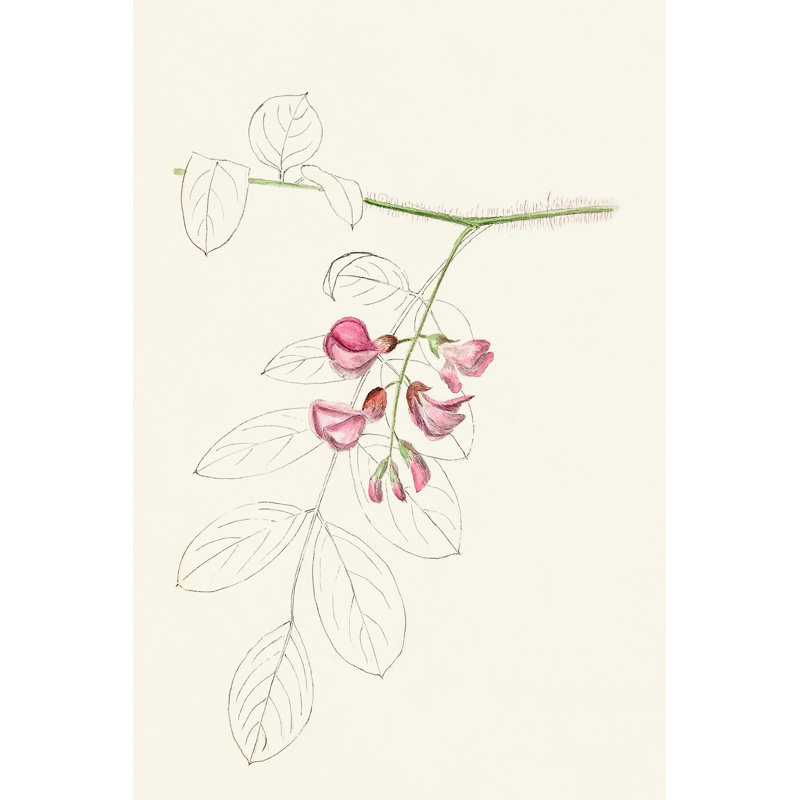 Leaf Sketches I - Graphic Art Print, 122 cm H x 81 cm W, Wrapped Canvas