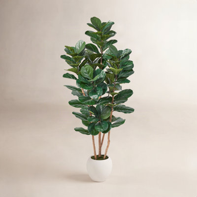 Caigan Fiddle Leaf Fig Tree in Decorative Vase