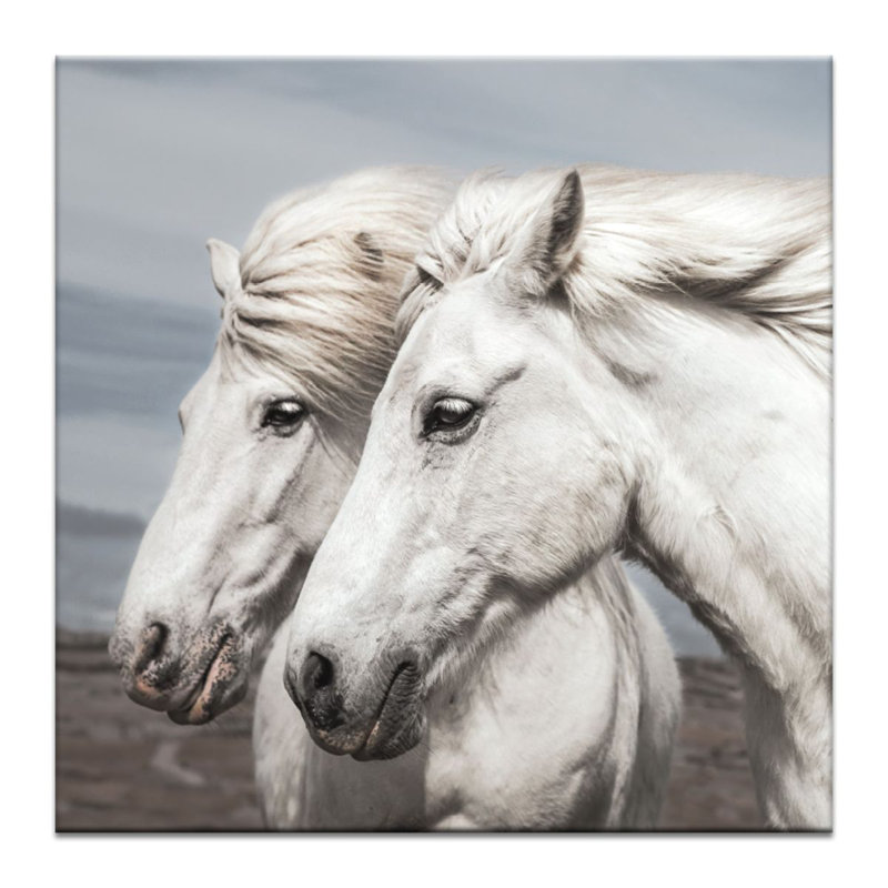 Print on Canvas, 102cm H x 102cm W, Wrapped Canvas