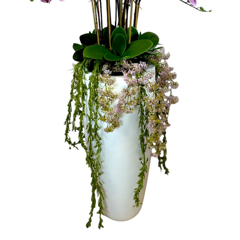 5.25' Orchid Arrangement with Weeping Laurel in Fiberstone Planter, Pink