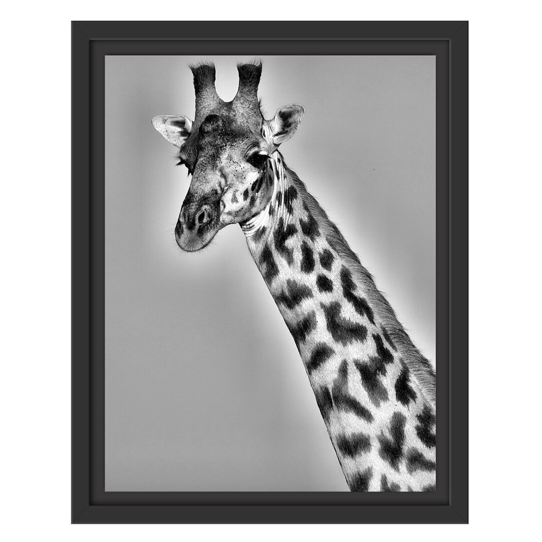 Gerahmtes Wandbild majestätische Giraffe