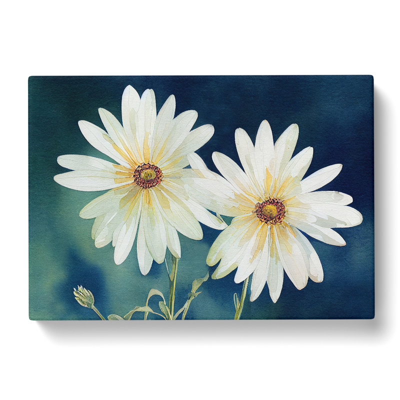 Astounding Daisy Flowers - Wrapped Canvas, 50cm H x 76cm W x 3cm D