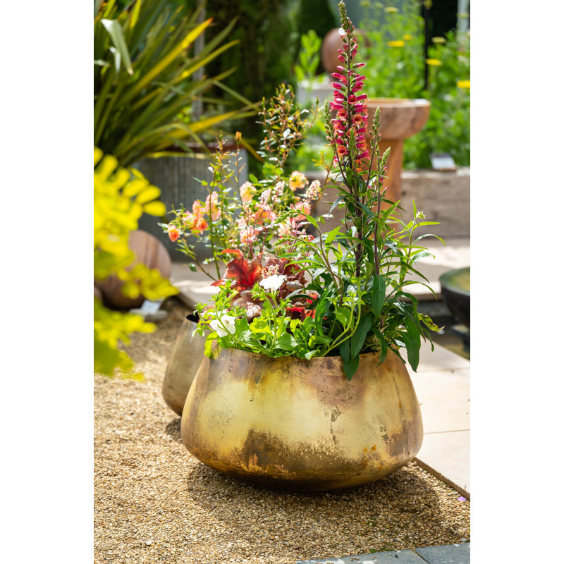 Pelaez Metal Pot Planter, 39cm H x 65cm W x 65cm D