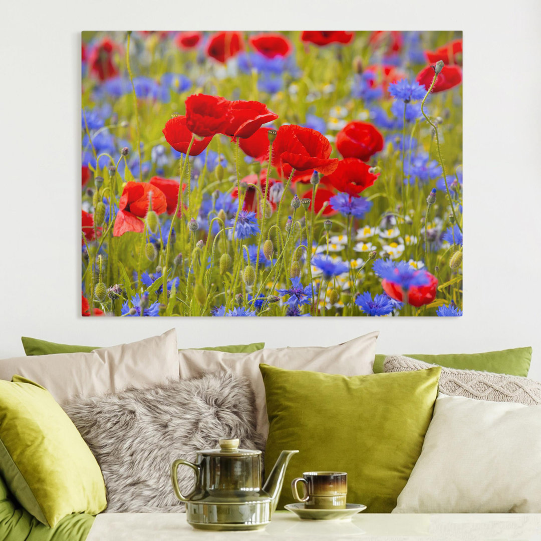 Leinwandbild Sommerwiese Mit Mohn Und Kornblumen