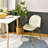 17'' H Velvet Upholstered Side Chair-917853647
