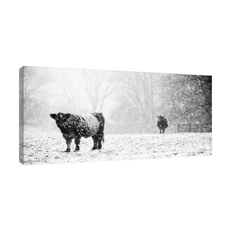 «Oreos and Milk III», reproduction de photo sur toile tendue, H 30 po x l 60 po x P 1,5 po