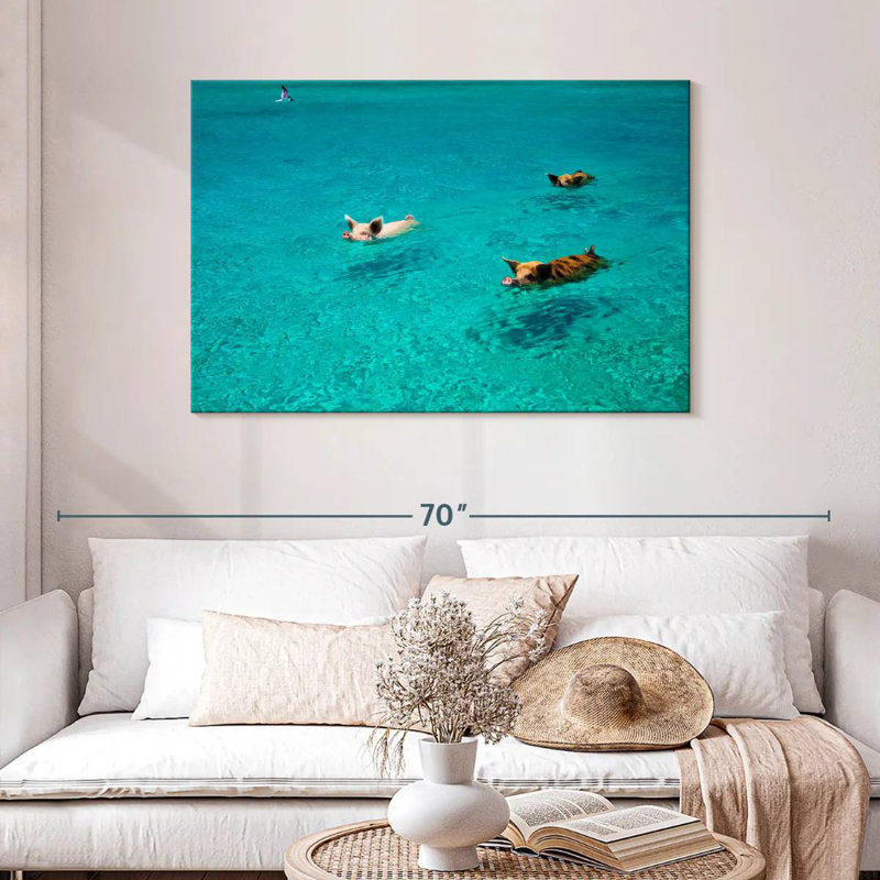 Porcs Brampt à Exuma Cays, H 30 po x l 45 po