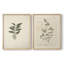 «Vintage Floral XIX», estampe numérique encadrée - ensemble de 2-1998867502-1998867488