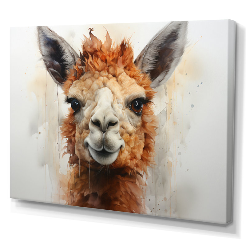 Alpaga Curious Alpaca - imprimé, H 12 po x l 20 po x P 1 po, Toile tendue