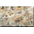 " Ivory Floral "-107685504-107685529