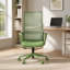 Chaise de bureau ergonomique avec support lombaire ajustable-1436140037-1436140041