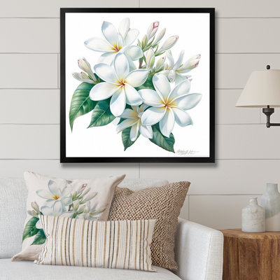 " Plumeria Charming Elegance "