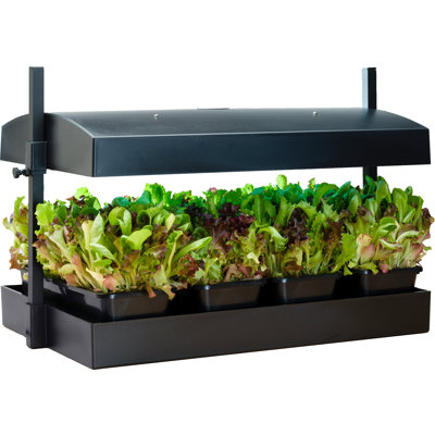 Kit de jardinage intérieur