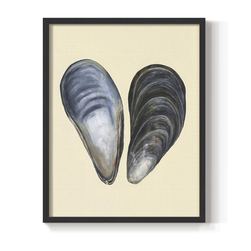 «Bivalve Shells I», reproduction encadrée - bois massif, H 30 po x l 24 po, Noir, noir, noir, noir