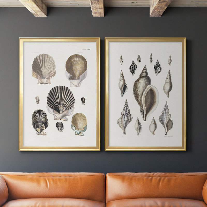 Ensemble de 2 reproductions encadrées sur toile Vintage Shell I, Or, H 42,5 po x l 61 po x P 1,25 po