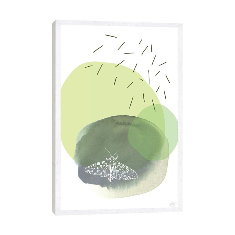 The Lonely Moth - Print on Canvas, White Floater Framed, 101.6cm H x 66.04cm W x 3.81cm D
