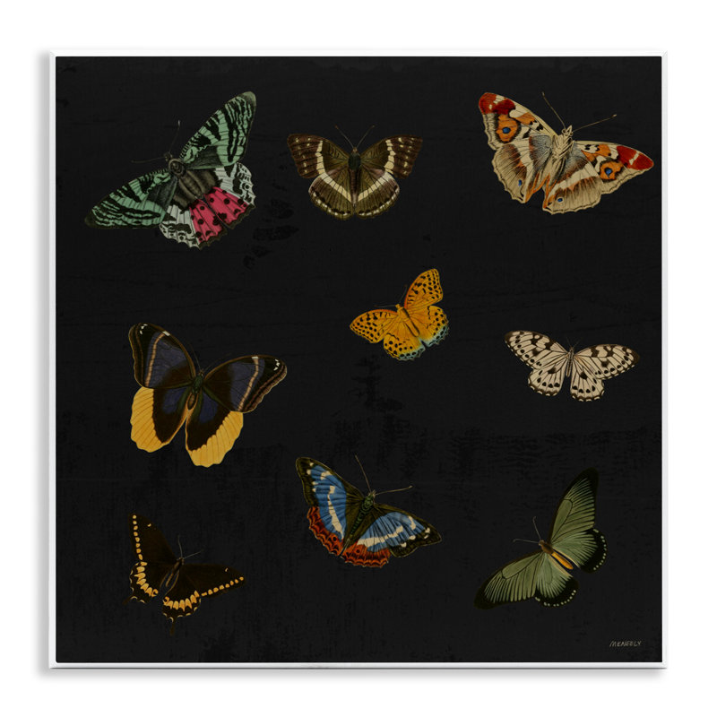 Plaque murale de la collection Butterfly & Moth, design par Dan Meneely