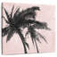 Harnek, palmier gris sur fond rose I-109213976