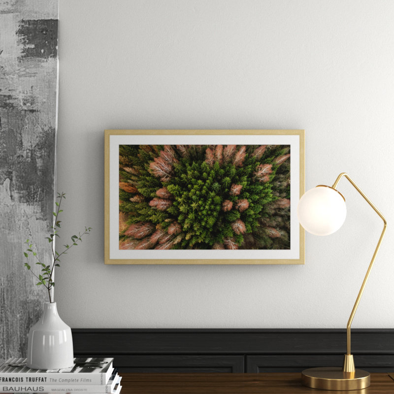 Karolis Janulis - Single Picture Frame Print, 41 cm H x 61 cm W x 3.81 cm D