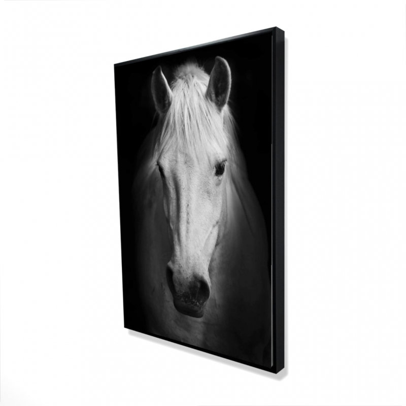 "Cheval monochrome" sur toile