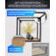 2 Piece Square Accent Shelf